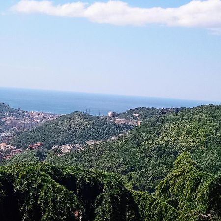 Collina Belvedere, appartamento indipendente in villa Salerno-Capezzano Pellezzano Esterno foto