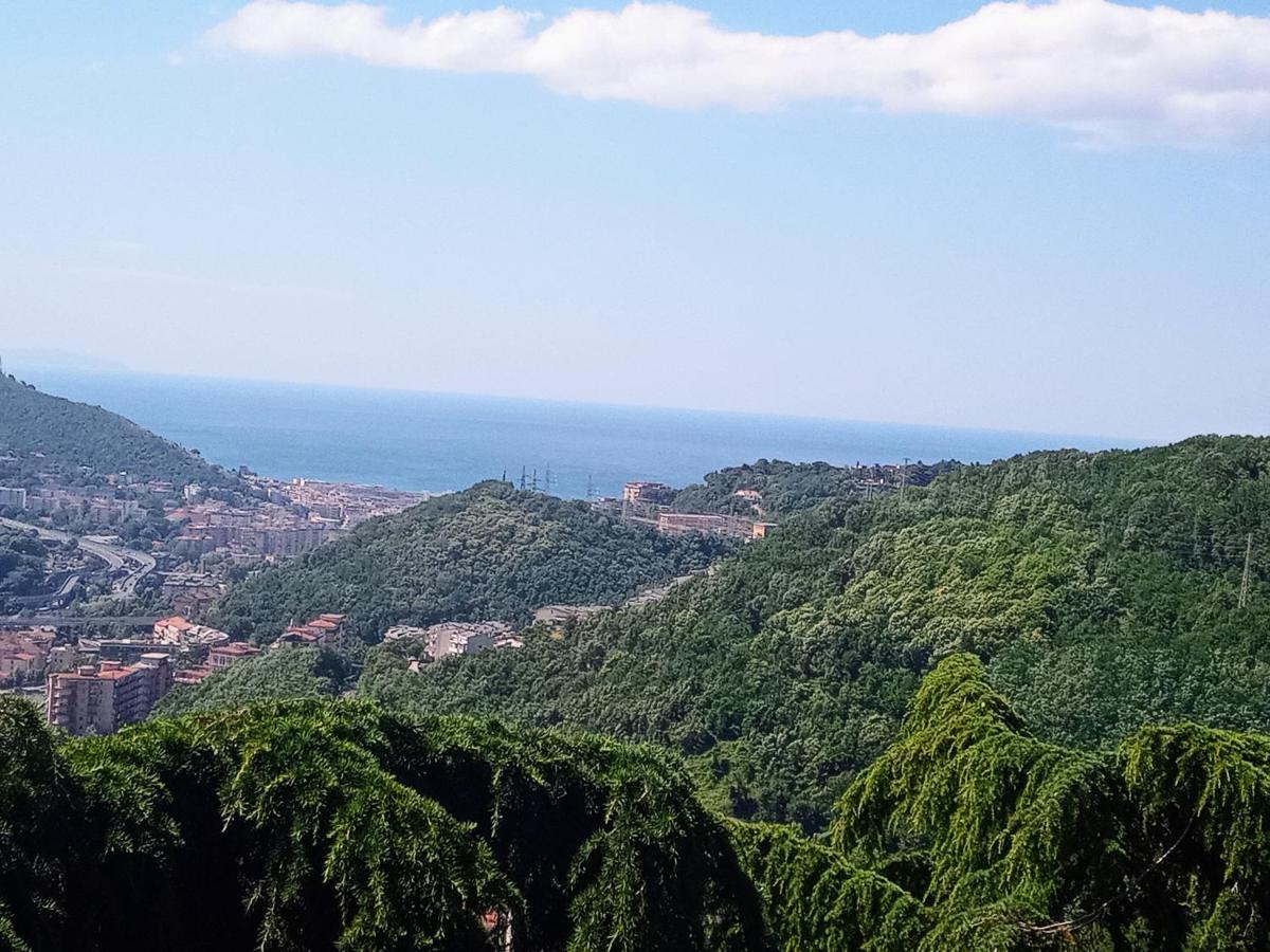 Collina Belvedere, appartamento indipendente in villa Salerno-Capezzano Pellezzano Esterno foto